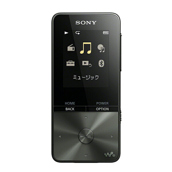 SONY \j[ NW-S313 BC ubN EH[N} SV[Y 4GB {      1Nۏ 