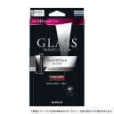 LEPLUS Astell & Kern AK100II ガラスフィルム「GLASS PREMIUM FILM」通常 0.33mm LP-AK1002FG