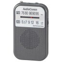 AM／FMポケットラジオグレー　　RAD‐P132NーH