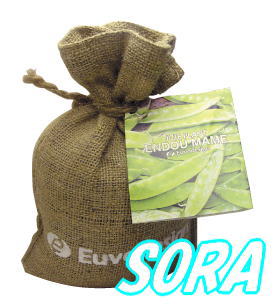 ȤäƤ⤫襤ݥåȡ塼ȥХåɥƦ