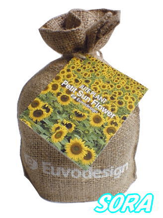 ȤäƤ⤫襤ݥåȡ塼ȥХåߥ˥ҥޥ