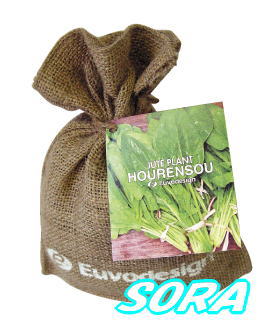 ȤäƤ⤫襤ݥåȡ塼ȥХåۥ