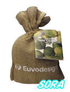 ȤäƤ⤫襤ݥåȡ塼ȥХåߥ˥٥