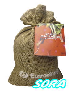 ȤäƤ⤫襤ݥåȡ塼ȥХåߥ˥ǥå