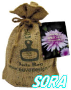 ȤäƤ⤫襤ݥåȡ塼ȥХåݥ