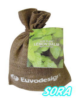 ȤäƤ⤫襤ݥåȡ塼ȥХåС