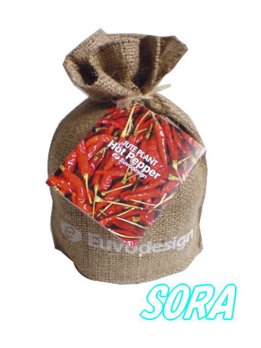 ȤäƤ⤫襤ݥåȡ塼ȥХåȥ饷