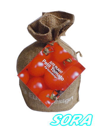 ȤäƤ⤫襤ݥåȡ塼ȥХåߥ˥ȥޥ