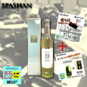 SPASHAN エコバッグ付き スパシャン2018と最強クリ...