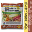 【朝日工業】【肥料】根を食べる野菜の肥料 1kg
