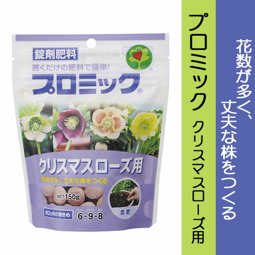 ynC|lbNXzyܔ엿zv~bN NX}X[Yp 150g