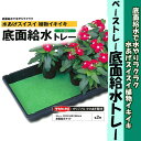 【サカタのタネ】【ジフィー】ベーストレー 底面給水