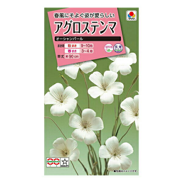 タキイ種苗 花種 アグロステンマ オーシャンパール B05-026 M