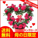 母の日 限定 ハート バラ 鉢花 ギフト (今ならもれなくレビューで500円QUOカードがもらえます!) 鉢植え ミニ バラ 花 鉢 ばら 蔓 薔薇 プレゼント おすすめ 【ミニ植物】通販【RCP】【母の日ギフト特集 2013】【早割特典付】jbchr