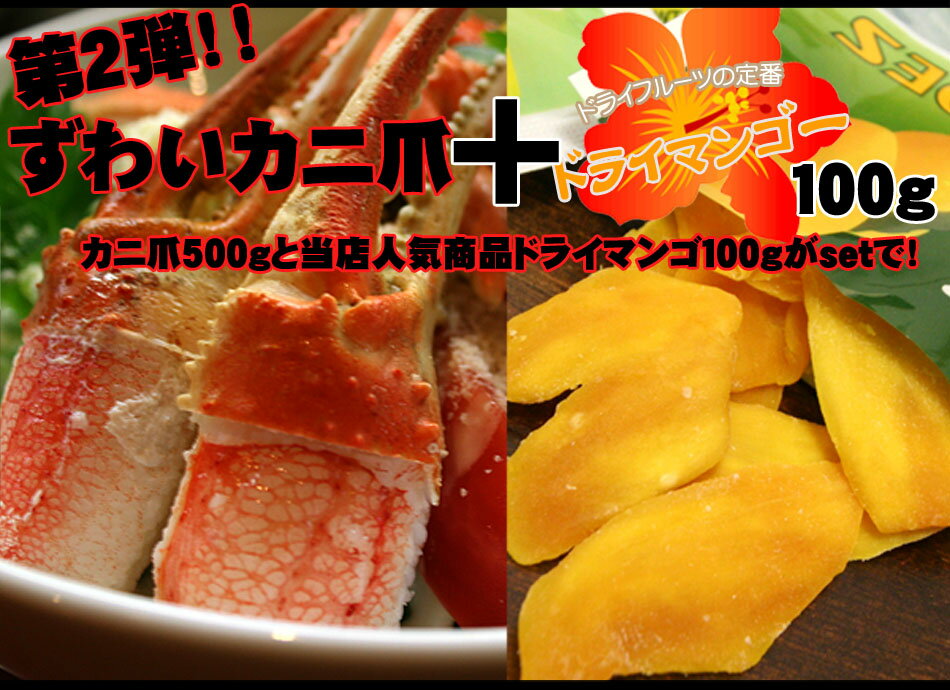 ݌ɂȂȂ莟II3eJj500g{hC}S[100gIIHH2440~yw071221z... ...