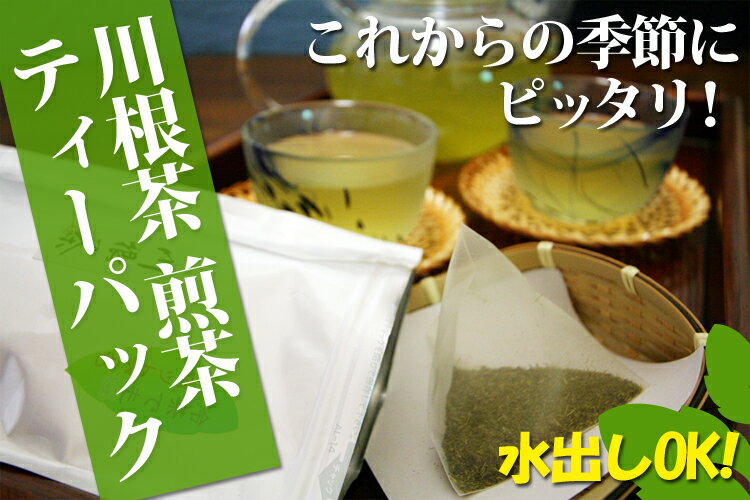 送料300円★20袋パックでお得♪静岡県川根茶100％使用　甘味が自慢のお茶　ティーパック