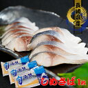 【しめ鯖 美味しい】 しめさば 1枚 100g 【サバ 魚 お寿司 玄界灘 グルメ 長崎県 壱岐