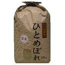 【送料無料】玄米 宮城県ひとめぼれ 10kg【TD】楽天HC【e-netshop】【smtb-s】【フェスティバルライフ0716×10】