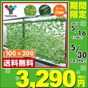 【あす楽】 山善(YAMAZEN) グリーンフェンス リーフラティス(約100×200cm) LLH-12C/LLS-12C グリーンフェンス 緑のカーテン グリーンカーテン リーフフェンス 目隠し 簡単設置 【送料無料】