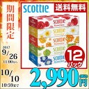 【あす楽】 日本製紙クレシア スコッティ (SCO