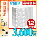 【あす楽】 日本製紙クレシア スコッティ (SCO
