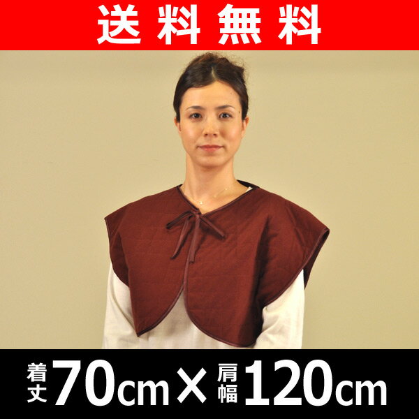 【送料無料】 東京西川(西川産業) エコ暖 肩当て あったかパッド EDV0801928 レッドブラウン