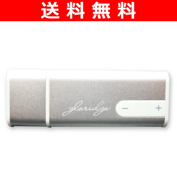 【送料無料】 グローリッジ(GLORIDGE) 長時間録音ボイスレコーダー USB録音機 ミニメモ(プラスMP3) NT-003 SV
