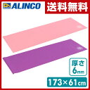ヨガマット(厚さ6mm) FYG606 エクササイズマット フロアマット アルインコ ALINCO【送料無料】