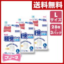 【あす楽】 第一衛材 フリーネ 大人用紙おむつ パンツタイプ Lサイズ 軽快パンツ うす型排尿量 2回分 28枚*3 (84枚) DHP-161*3 紙オムツ 失禁用品 介護 大人用おむつ 紙パンツ 【送料無料】
