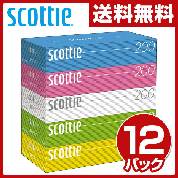 日本製紙クレシア スコッティ (SCOTTIE)
