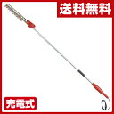 ニシガキ工業 高速バリカン 充電式 (刈り込み幅300mm)2.0m N-904 剪定 刈り込み 刈込