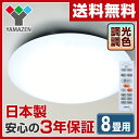 【秋の新生活応援セール10%OFF】 山善(YAM