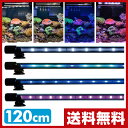 ゼンスイ アンダーウォーターLEDスリム 120cm 水槽用照明 LEDライト 鑑賞魚 熱帯魚 アクアリウム アクセサリー 【送料無料】