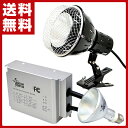 ゼンスイ SOLAR RAPTOR HIDランプ 50W ソーラーラプター ソーラーラプターHIDランプ 50W用安定器 クランプランプ 【送料無料】