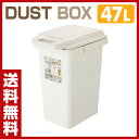 リス(RISU) ワンハンドパッキンペール (47L) ふた付き ゴミ箱 連結機能付き 45JS GBED007 コンテナボックス ごみ箱 ゴミ箱 ダストボックス ペール トラッシュボックス ふた付き フタ付き 蓋付き 【送料無料】