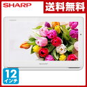 シャープ(SHARP) 防水 地上・BS/110度CS 12V型 ポータブル液晶テレビ AQUOSポータブル リモコン付き 2T-C12AFB/2T-C12AFW 液晶テレビ ハイビジョン フォトフレーム TV 12V 12型 12インチ 【送料無料】