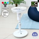DCモーター 30cmリビング扇風機 静音 風量8段階(フル...