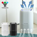 空気清浄機 AIR CREANER 6.5畳 ACZ-H6545 空気洗浄器 タバコ 赤ちゃん 空気清浄機 おしゃれ 花粉 結婚祝い インテリア ペット 人気 病院 新築祝い ハウスダスト 消臭 脱臭 2019年新商品山善 YAMAZEN【送料無料】