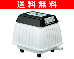 ڥӥ塼ǥݥ5ܡ̵ۡ ± żݥסǽѥ LP-30Aȥå  SALEsmtb-tdۡ5P_0119