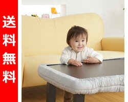 yz {玙 e[uGbWop[(S) 228-355cmΉ NI-2999
