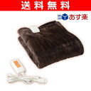 【あす楽対応】 【送料無料】 山善(YAMAZEN