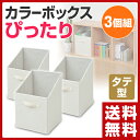 山善(YAMAZEN) カラーボックス インナーボックス (縦型) 3個セット YTCC-TT(NA)*3 ナチュラル 3個組 インナーケース 収納ボックス 折りたたみ 収納ケース ラック ボックス おもちゃ箱 【送料無料】
