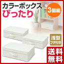 山善(YAMAZEN) カラーボックス インナーボックス (フタ付き 浅型) 3個セット YTCC-YKAF(NA)*3 ナチュラル 3個組 インナーケース 収納ボックス 折りたたみ 収納ケース ラック ボックス おもちゃ箱 【送料無料】