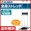 【5%OFFクーポン 9/26(水) 9:59まで】 【あす...