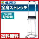 ぶらさがりくん FA890 ぶら下がり健康器 ぶら下がり健康...