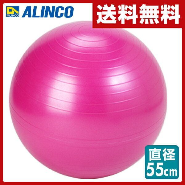 アルインコ(ALINCO) エクササイズボール 55cm エアポンプ付 EXG124P ピ…...:e-kurashi:10018759