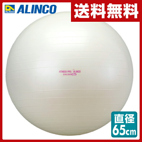 アルインコ(ALINCO) エクササイズボール(65cm) エアポンプ付 EXG025 バ…...:e-kurashi:10001994