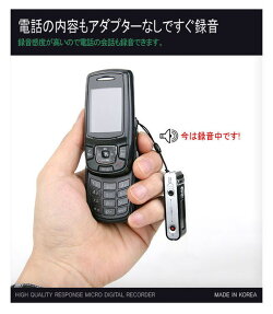 ベセト(BESETO)超小型高感度ボイスレコーダーVR-L2(4GB)