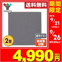 【あす楽】 山善(YAMAZEN) ホットカーペット本体(2...
