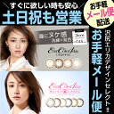 カラコン ワンデー 度あり【メール便】『エバーカラーワンデー ルクアージュ / モイストレーベル 10枚入』◆【ポイント10倍】コンタクトレンズ カラーコンタクト カラコン カラーコンタクトレンズ 沢尻エリカ コンタクト 度なし 14.5 エバカラ 1day ワンデー 1日使い捨て◆
